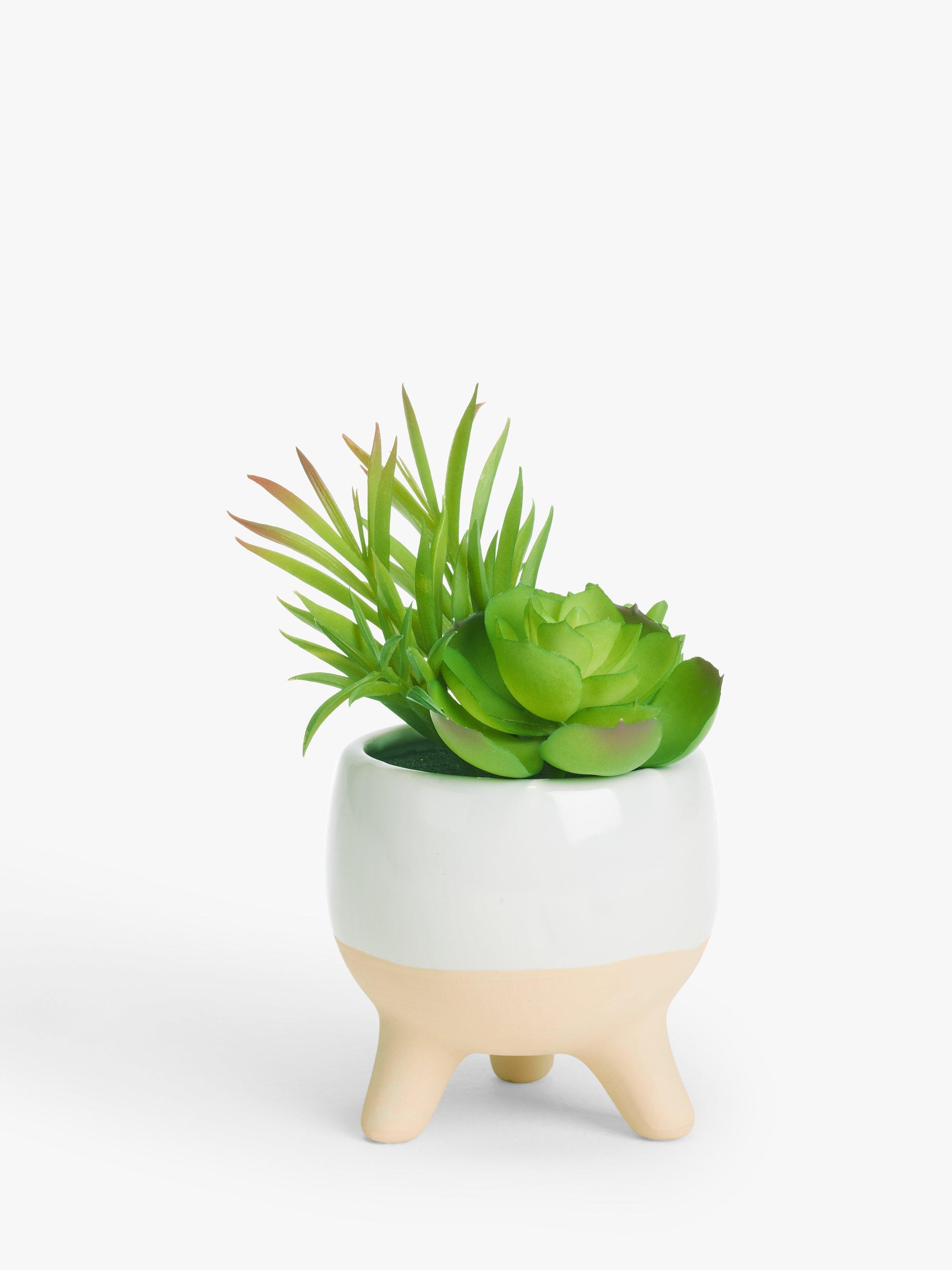 John Lewis Artificial Succulent in Ceramic Pot