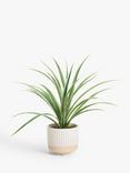 John Lewis Artificial Orchid Leaf in Ceramic Pot