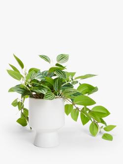 John Lewis Artificial Trailing Plant in Ceramic Pot, Multi