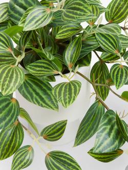 John Lewis Artificial Trailing Plant in Ceramic Pot - view 2, Multi