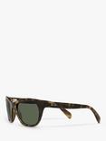 Ray-Ban RB4216 Women's Square Sunglasses, Havana/Green