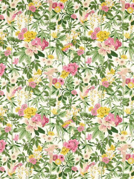 Sanderson Bamboo and Bird Furnishing Fabric, Scallion Grn/Fushia