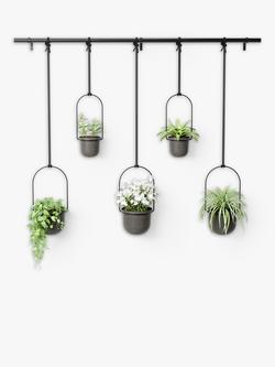 Umbra Triflora Hanging Planter, 5 Pot, Black
