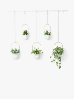 Umbra Triflora Hanging Planter, 5 Pot, White/Brass
