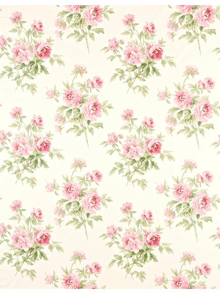 Sanderson Adele Made to Measure Curtains or Roman Blind, Rose/Cream, Rose/Cream