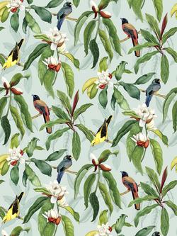 Osborne & Little Michelia Wallpaper, Eau De Nil W7612-04