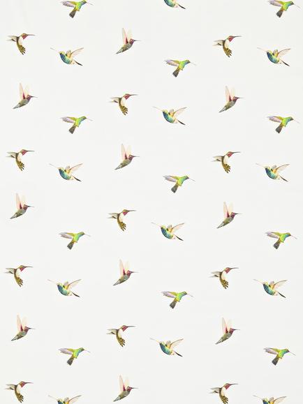 Harlequin Amazilia Made to Measure Curtains or Roman Blind, Flamingo/Papaya, Flamingo/Papaya