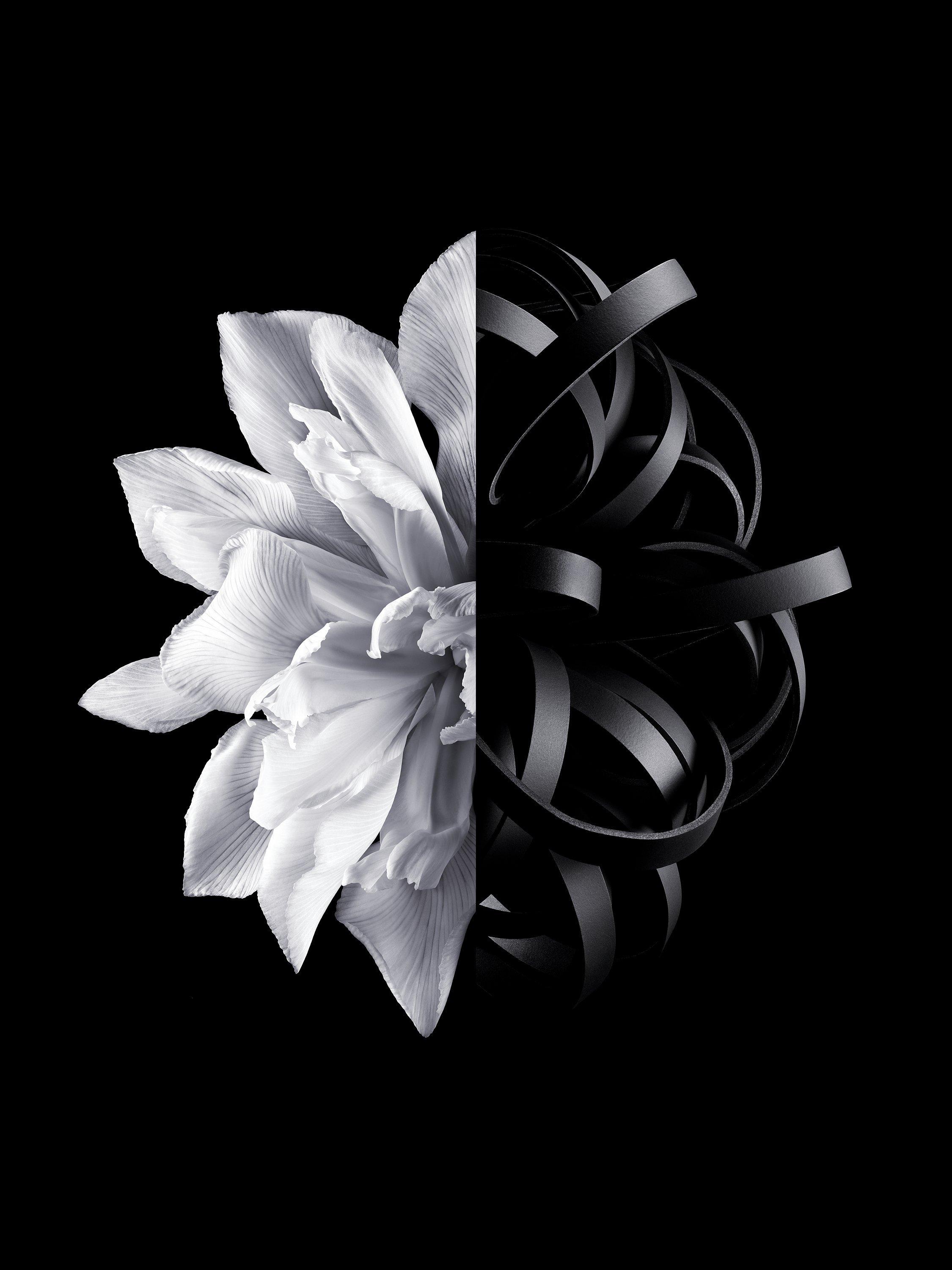 Product image 2 of 4, which shows Givenchy L'Interdit Eau de Toilette, 80ml