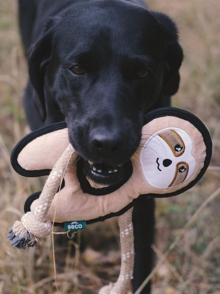Beco Pets Rough & Tough Sloth Doy Toy, Multi - view 2, Multi