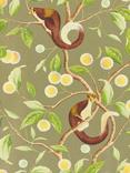 Harlequin x Diane Hill Nellie Wallpaper