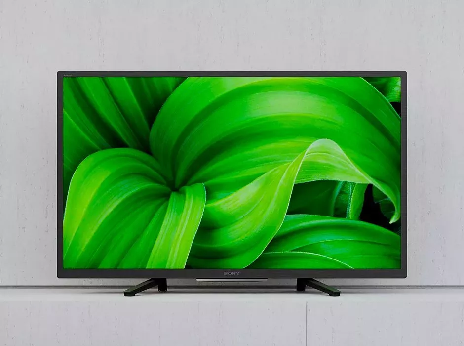 TV with green leaf image on the screen