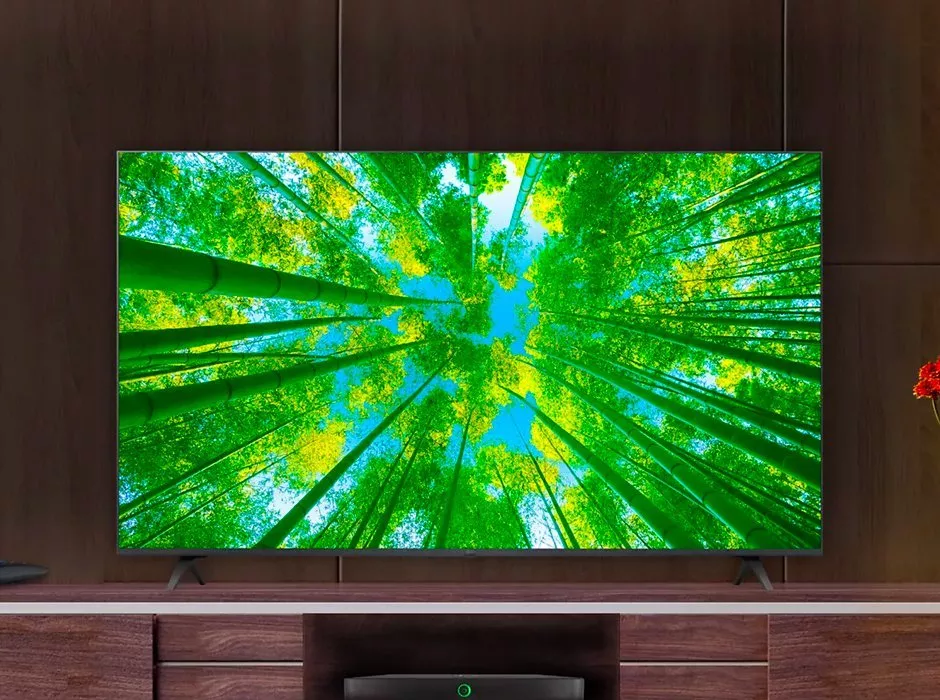 TV with a forest setting on the screen