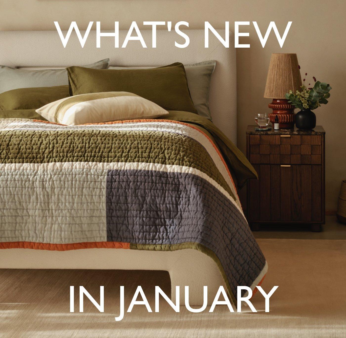 What's new in January