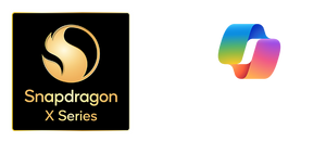 Microsoft dual logos