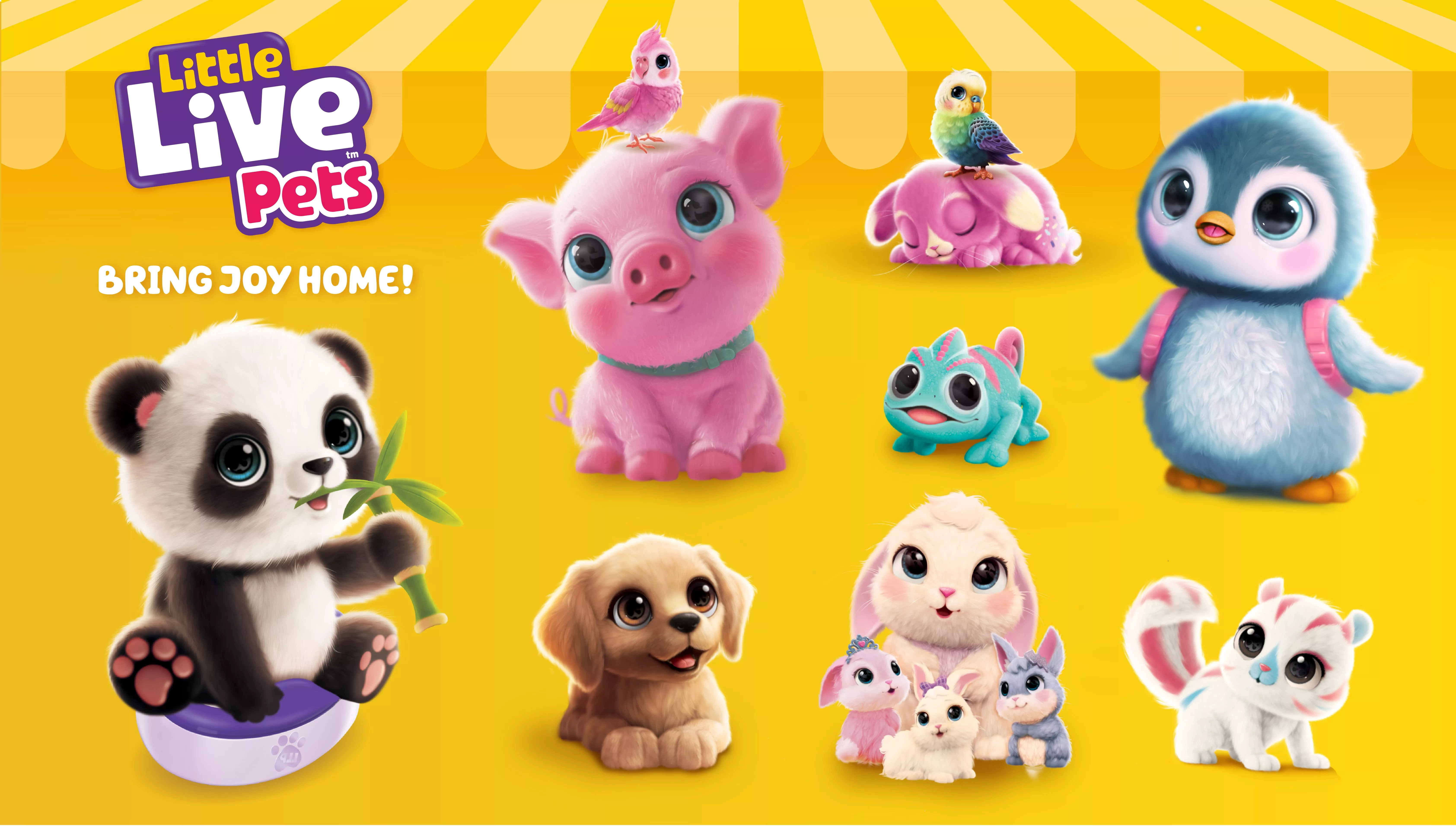 cute cartoons of different animals including a panda pig penguin dog rabbit chameleon two birds 