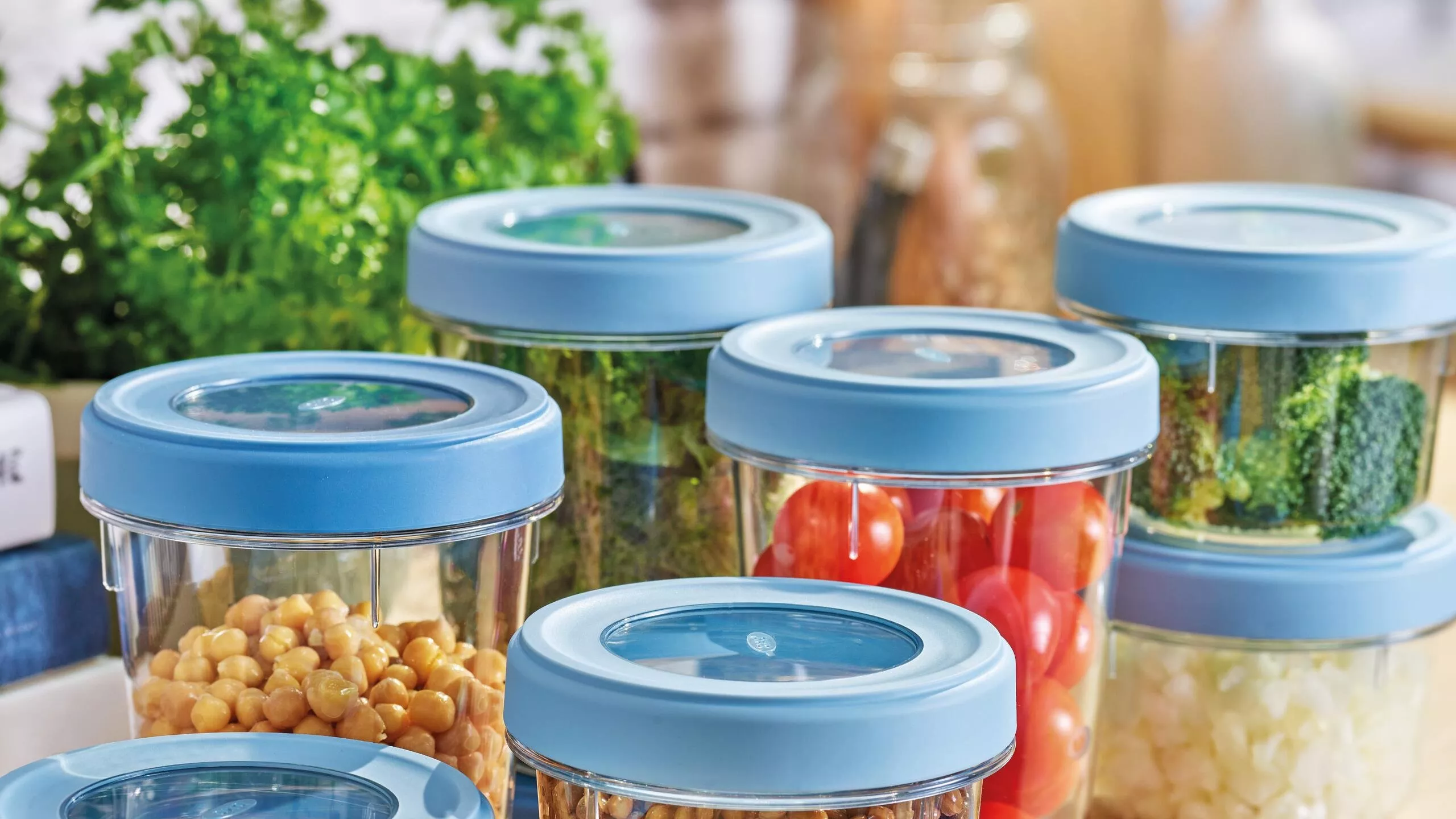 Oxo Containers