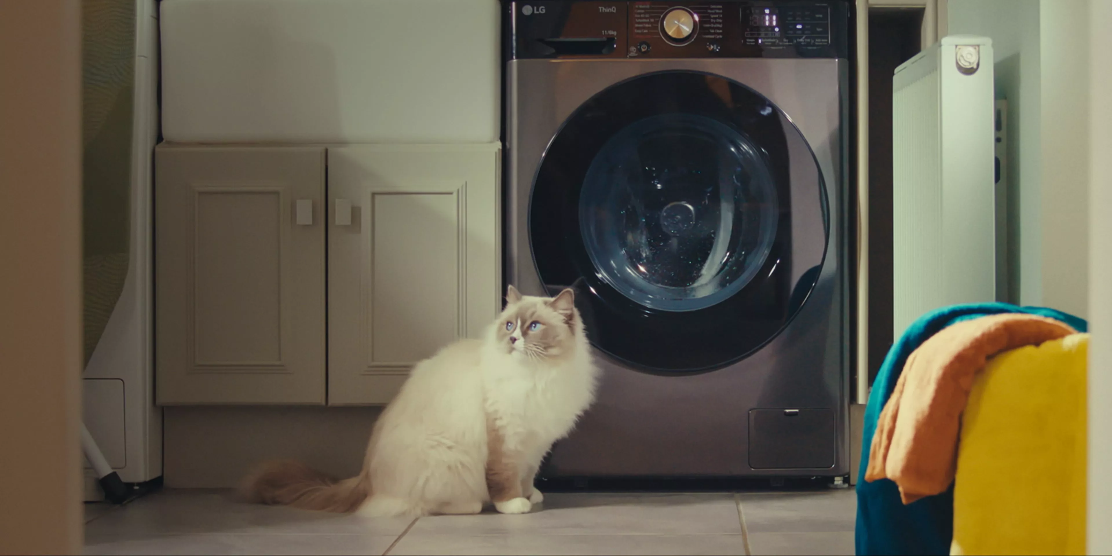 White cat sitting in front of a washing machine