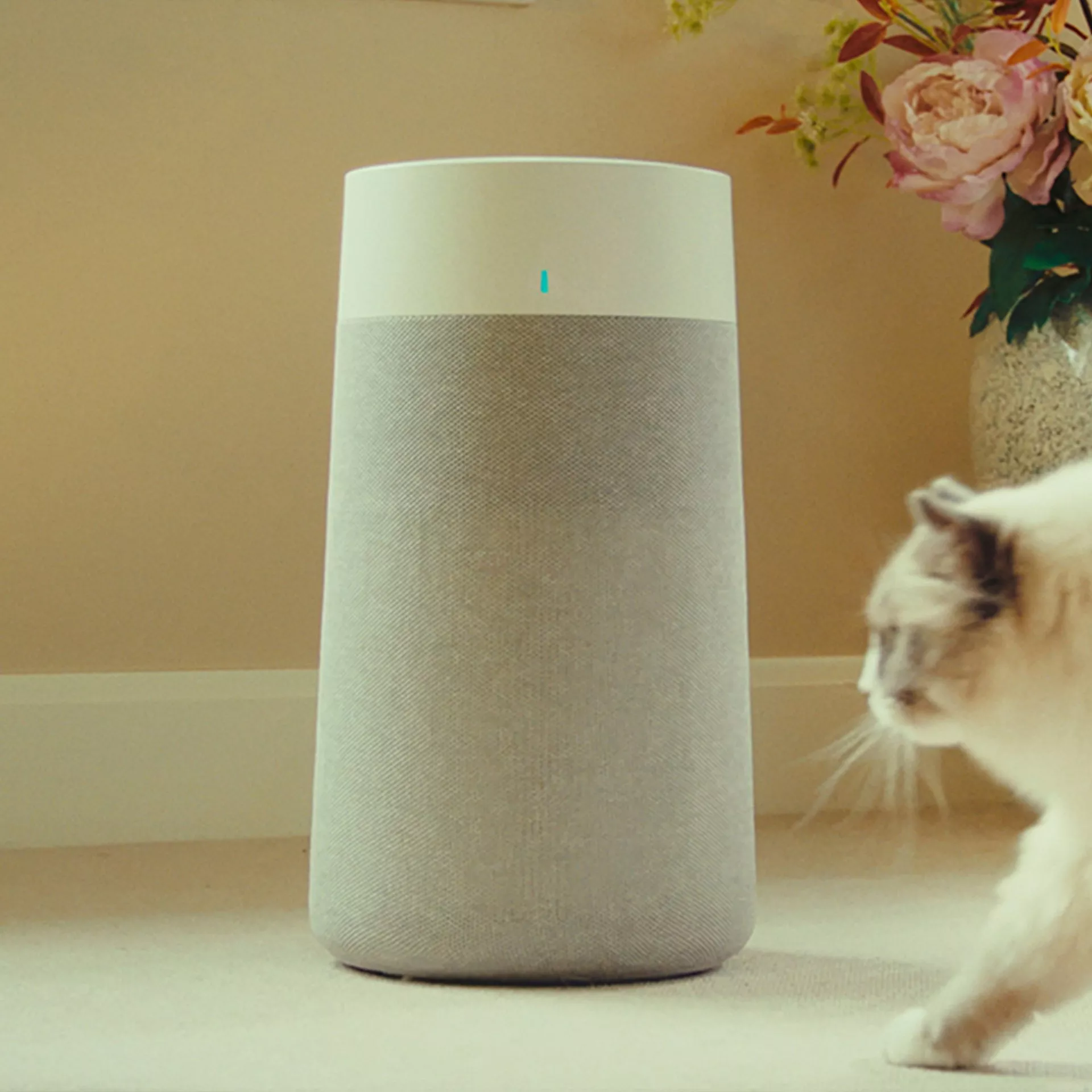 White cat walking past an air purifier