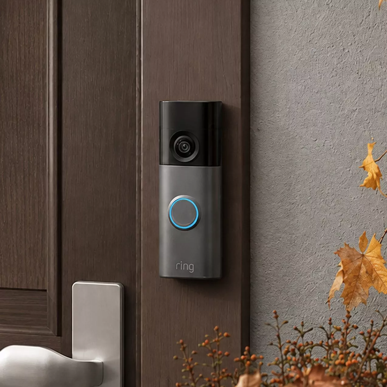 Brown ring doorbell situated on the side of a door with Autumn leaves at the side of the image.