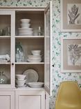 John Lewis Vision Studio 'Sepia Exotic Plants' Framed Print, Set of 4, 57 x 47cm, Neutral