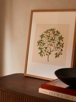 John Lewis V&A CFA Voysey 'The Ornamental Tree' Framed Print, 50 x 40cm - view 2, Green/Multi