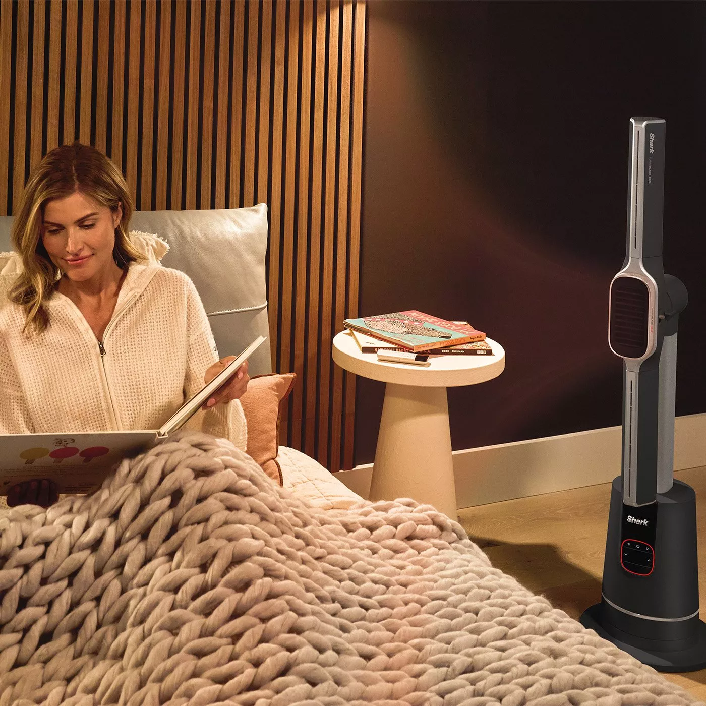 Dehumidifier in living room setting