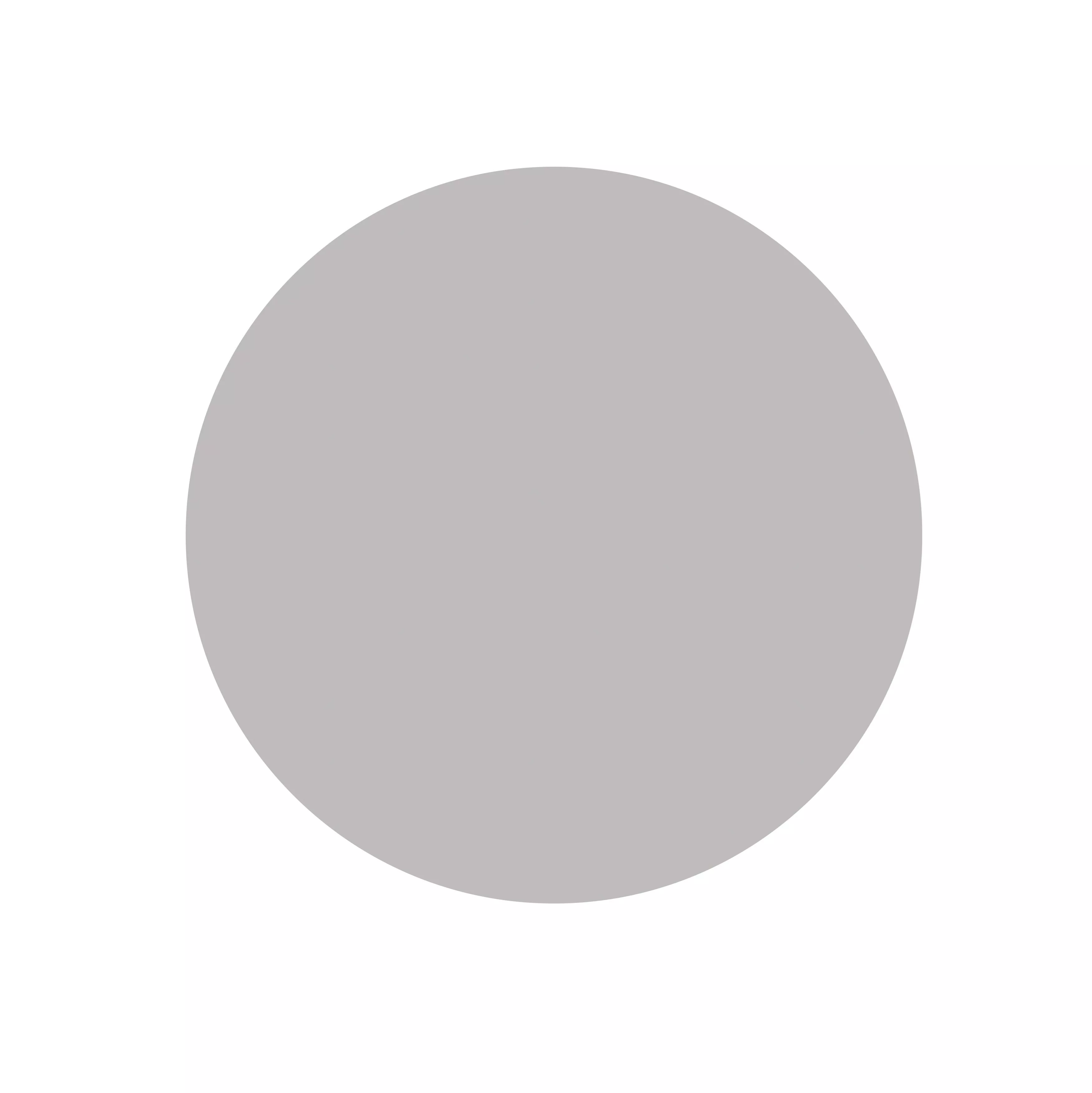 Light grey colour swatch