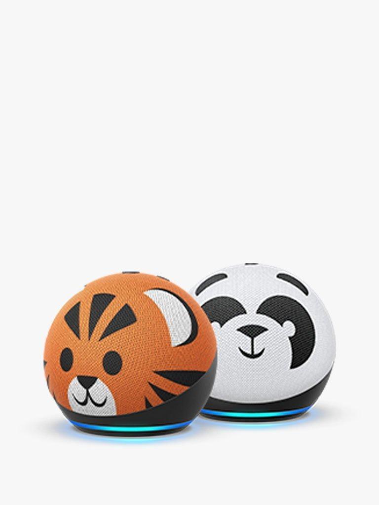 echo dot kids
