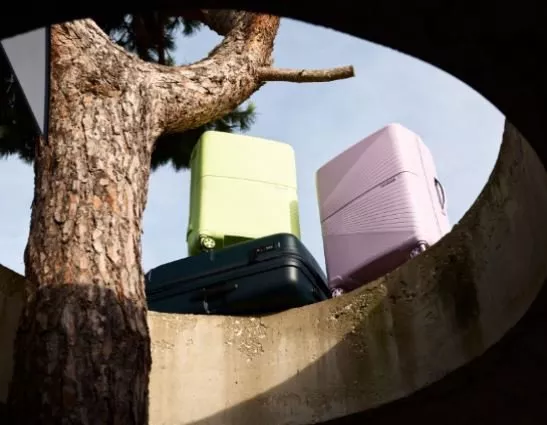 a selection of suitcases
