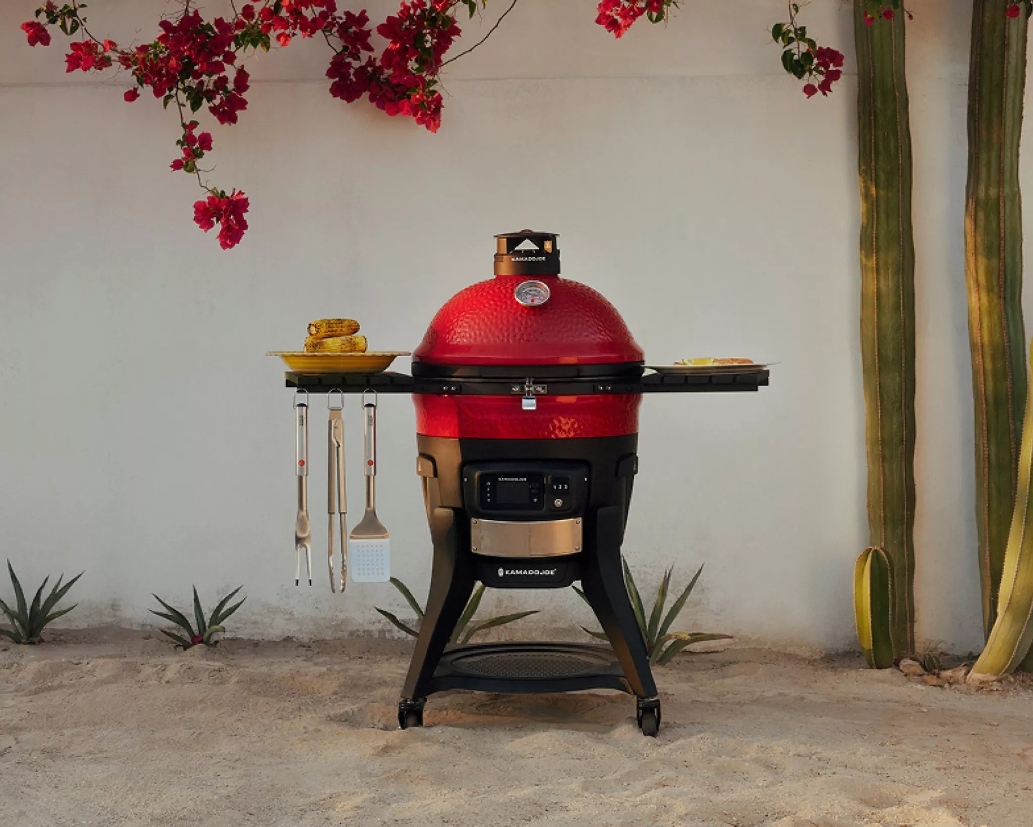 Outdoor kitchen ideas