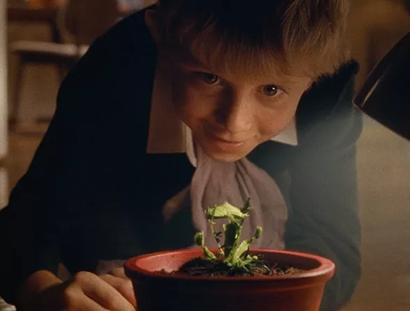 Christmas ad reactions