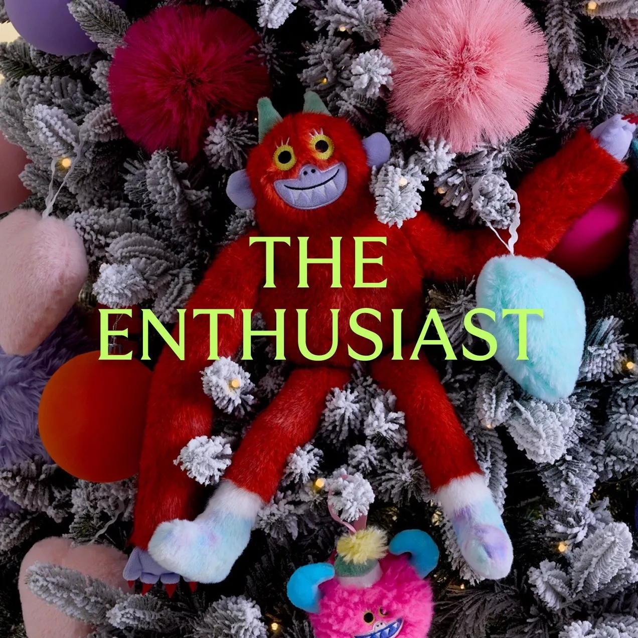 The Enthusiast