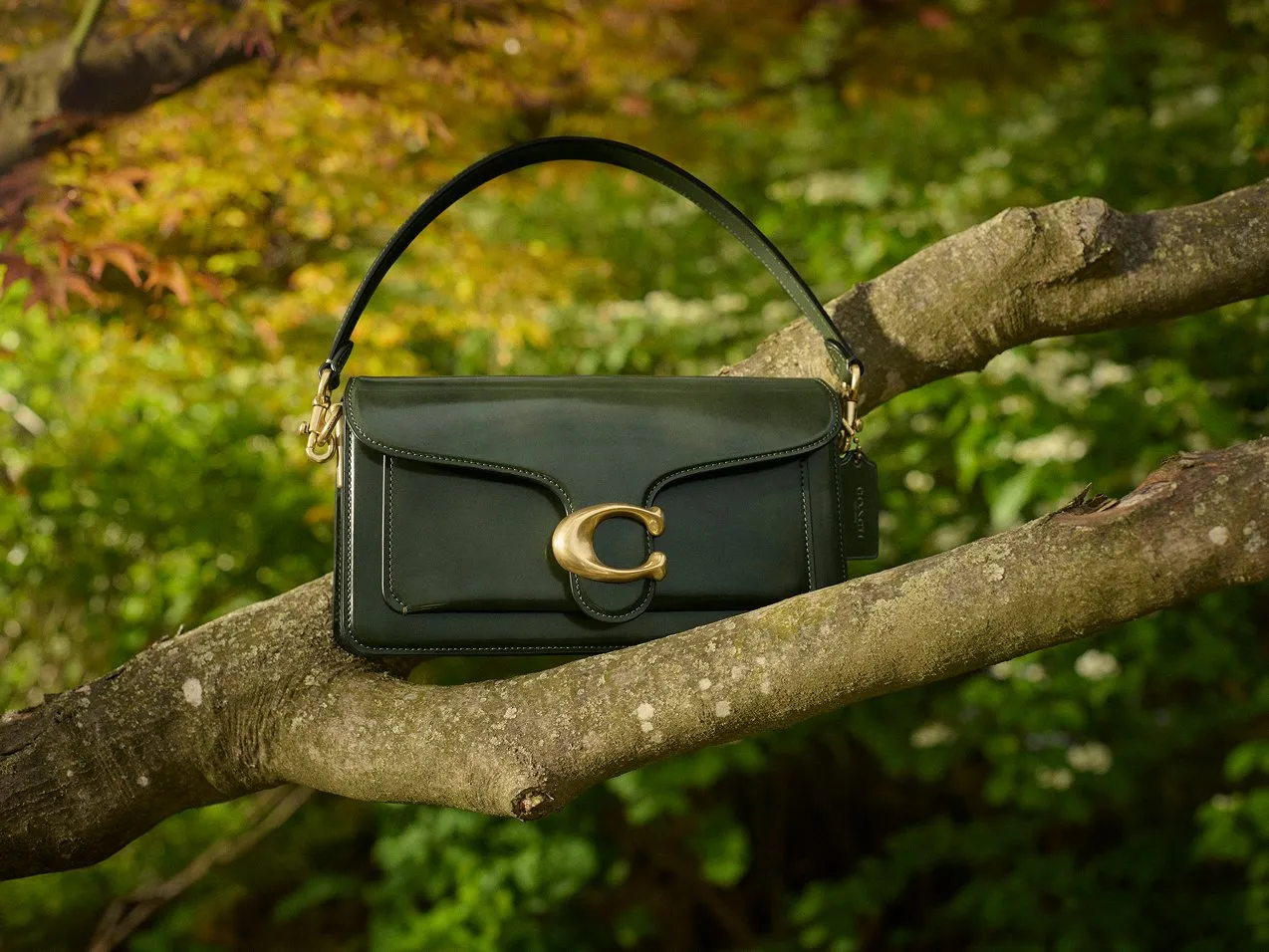 Dark green leather shoulder bag with gold clasp resting on a tree branch in a lush woodland setting