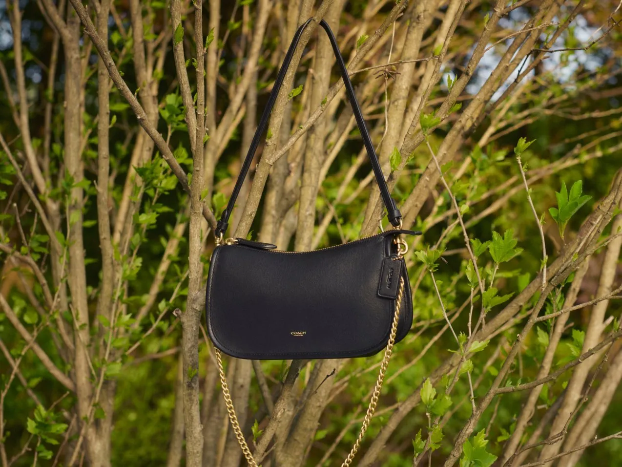 Black leather shoulder bag with gold chain strap hanging on branches in green spring woodland outdoors