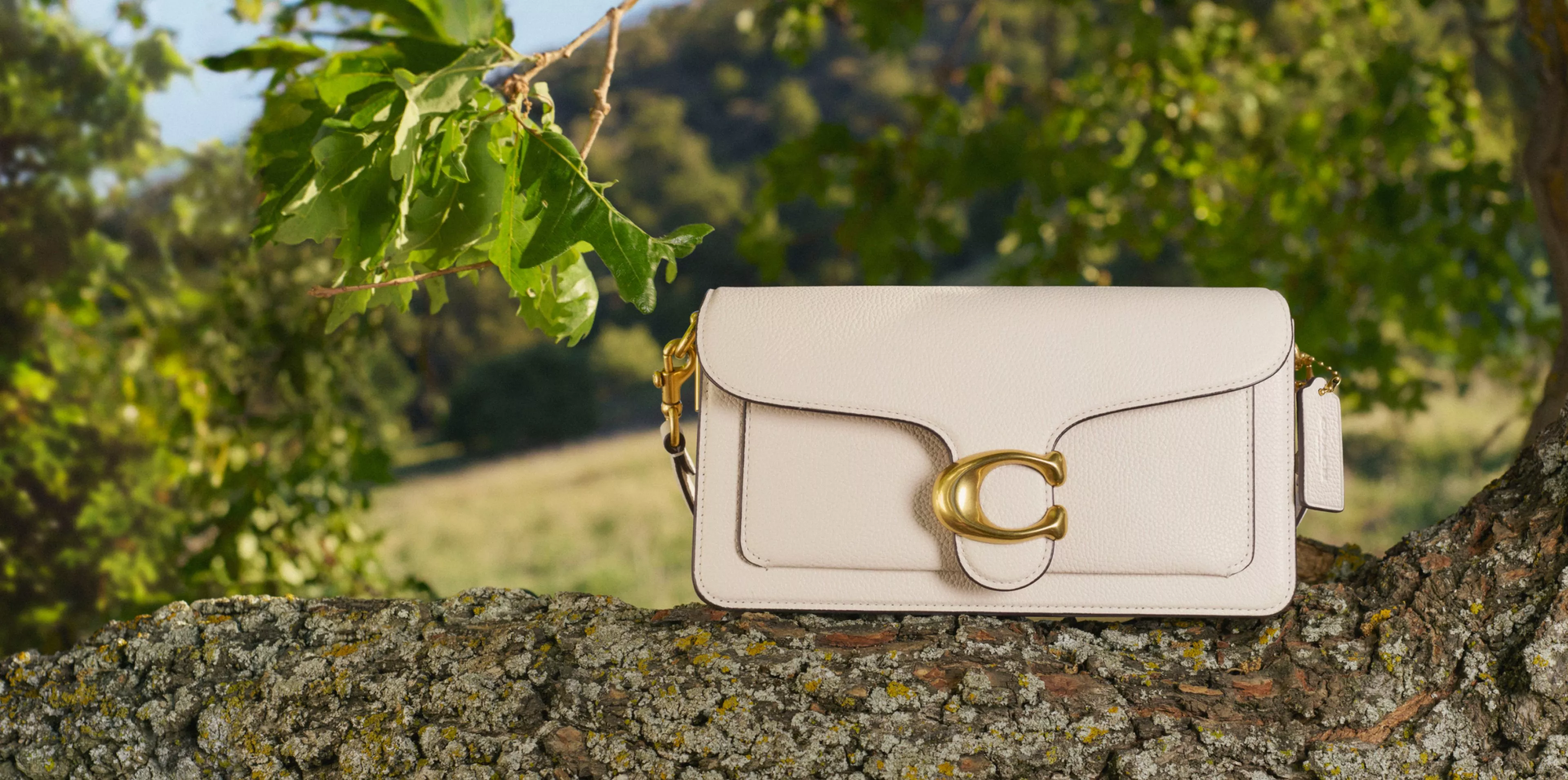  Image of a beige coach bag sitting on a branch