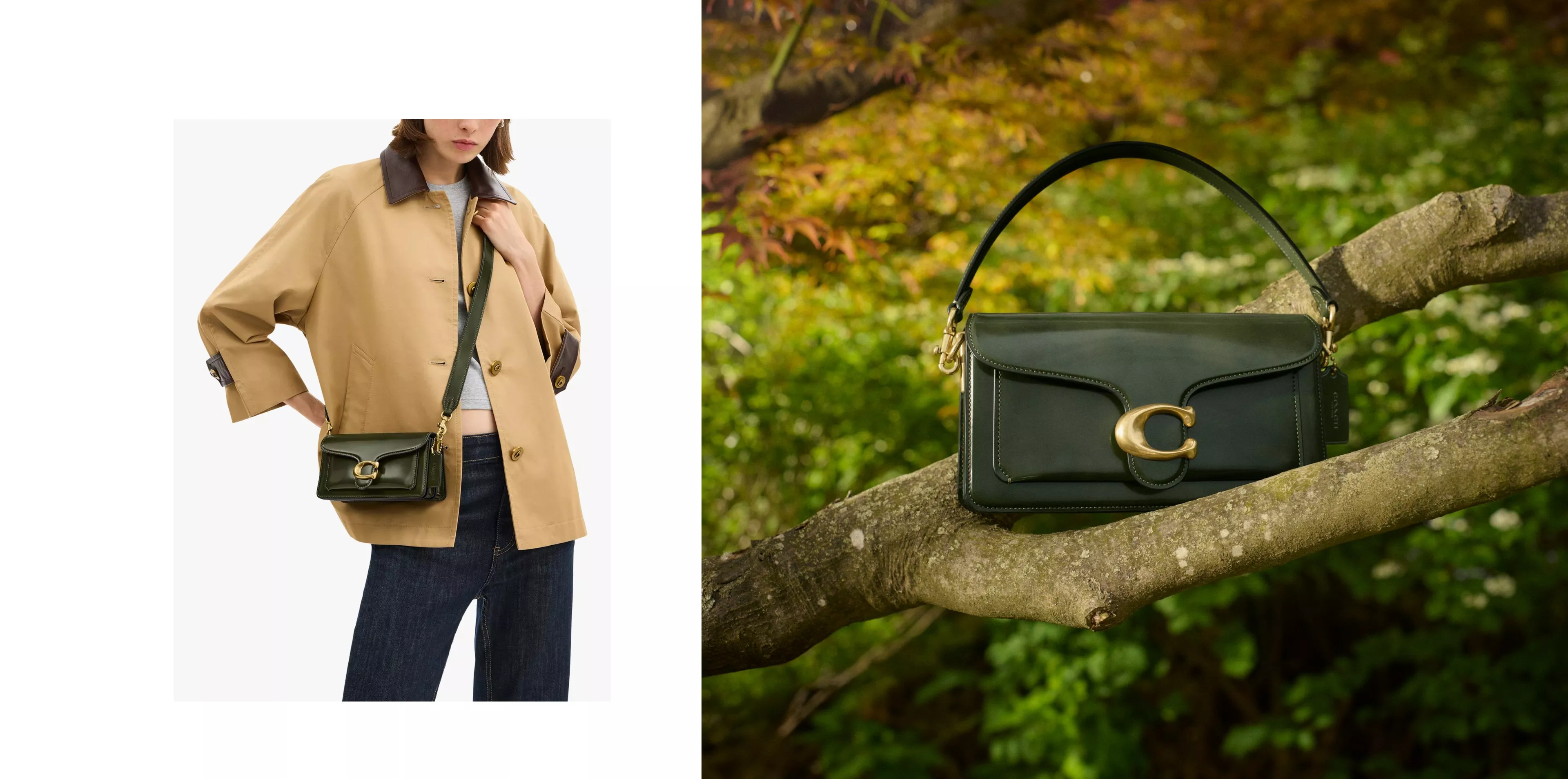 A Tabby Spazzalotao Leather Shoulder Bag sitting on a branch of a tree