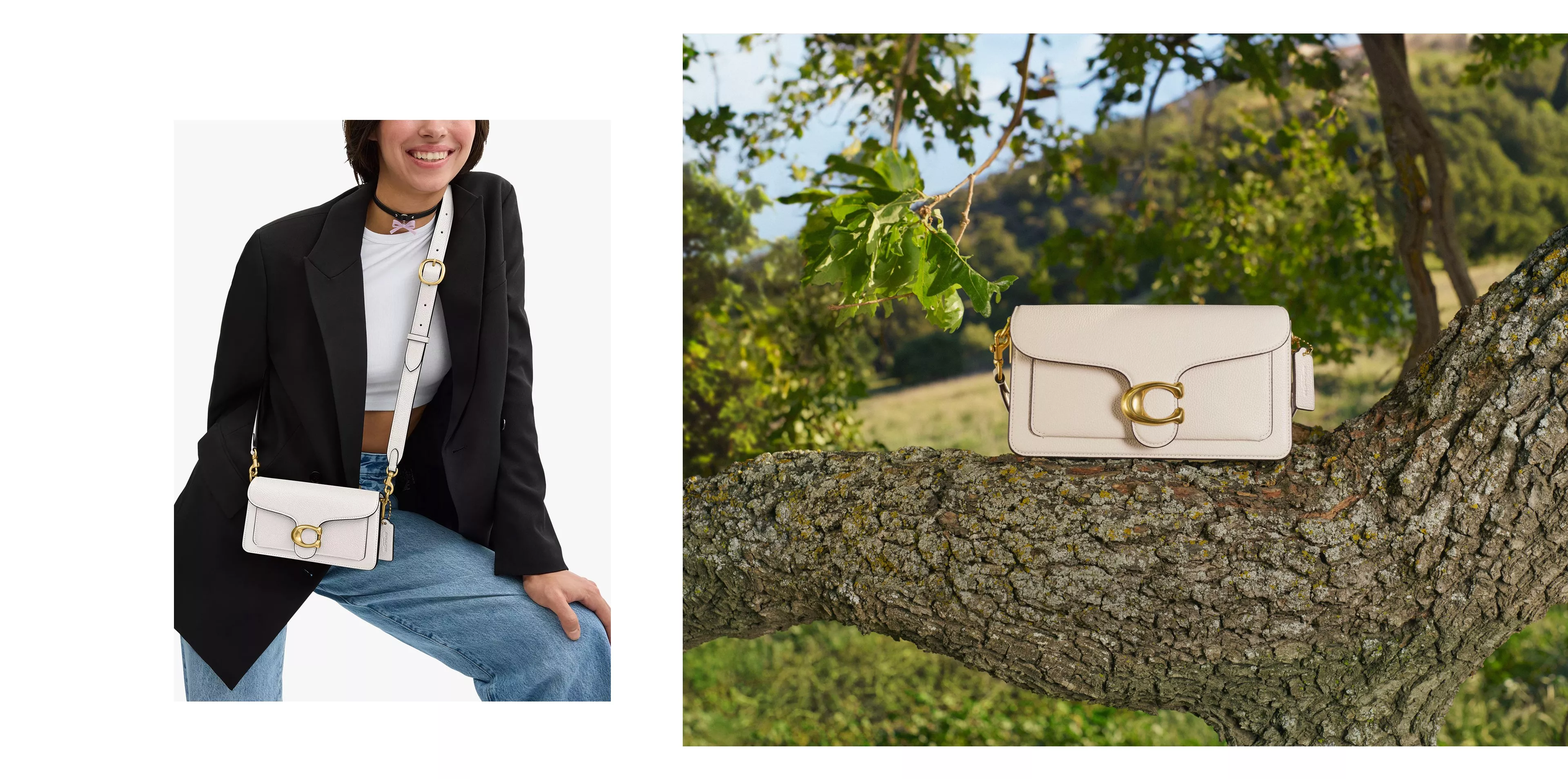 A white Tabby 20 sitting on a branch and second image is on a smiling model