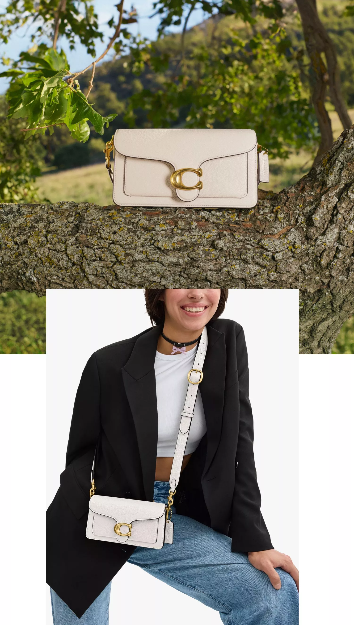 A white Tabby 20 sitting on a branch and second image is on a smiling model