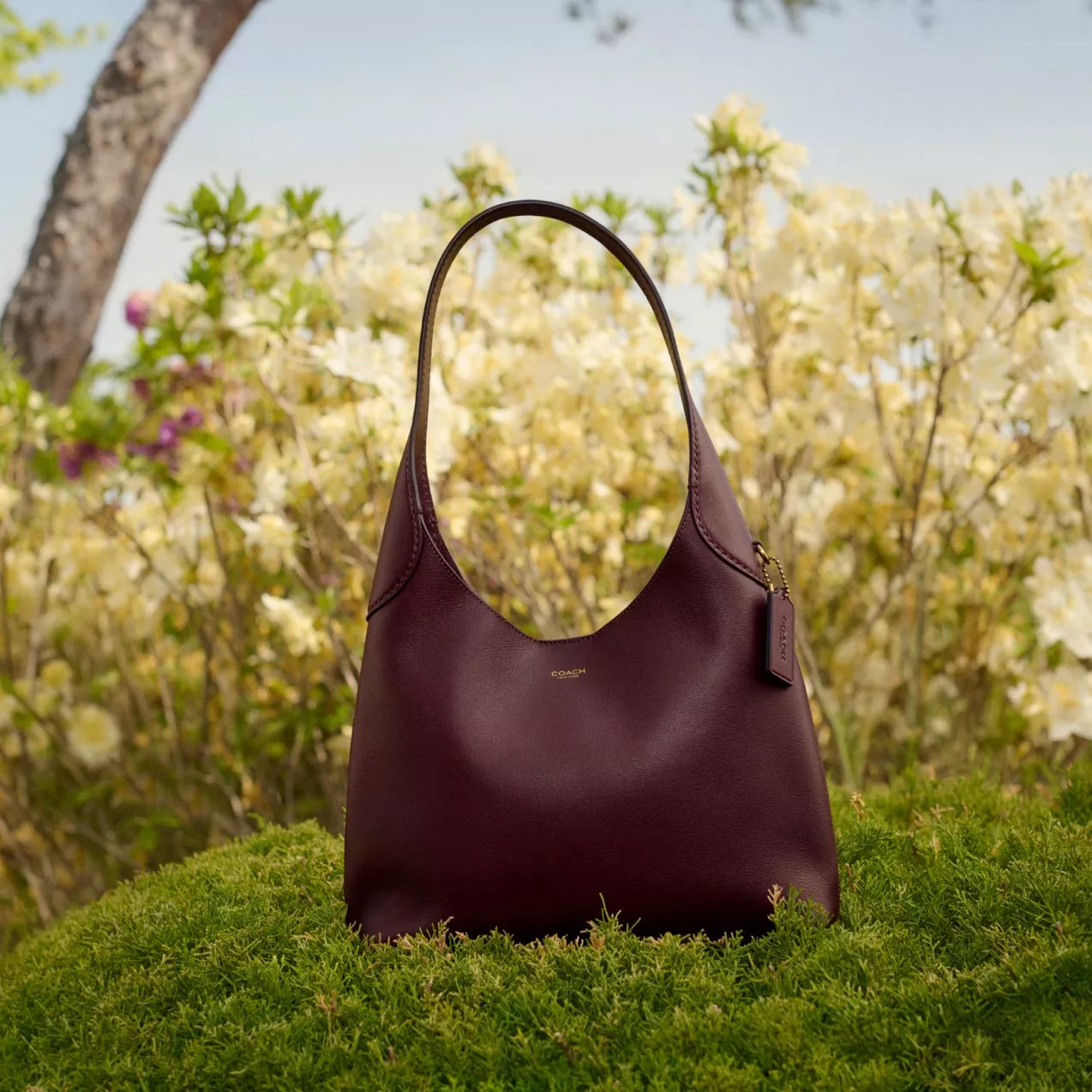 Coach Brooklyn 39 Leather Shoulder Bag in a Maple colour sitting on some grass