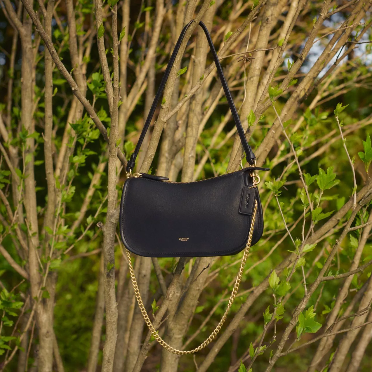 Coach Waverly Leather Shoulder Bag in black hanging from a tree