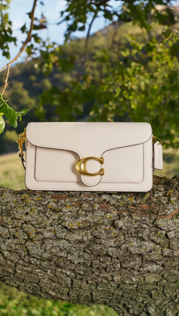  Image of a beige coach bag sitting on a branch