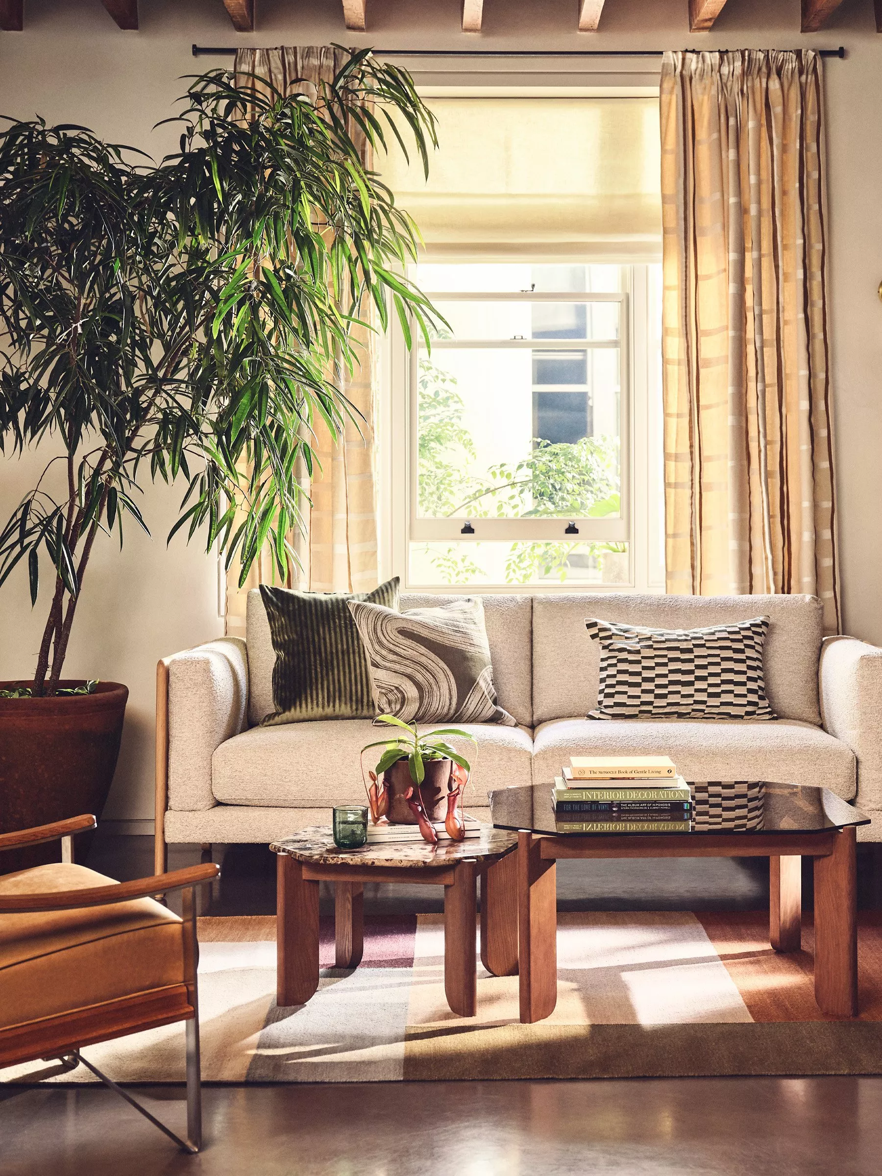 Women's Dresses - Ted Baker