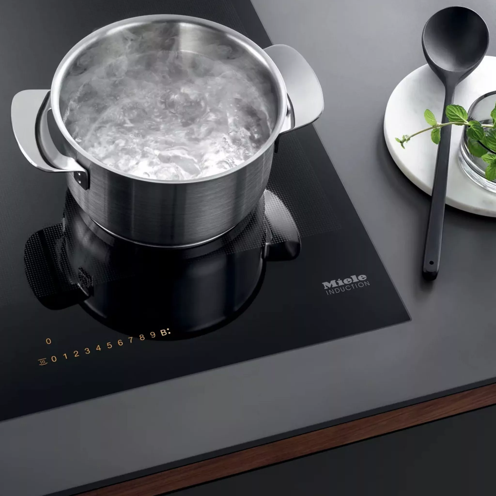 Pan with boiling water on the hob