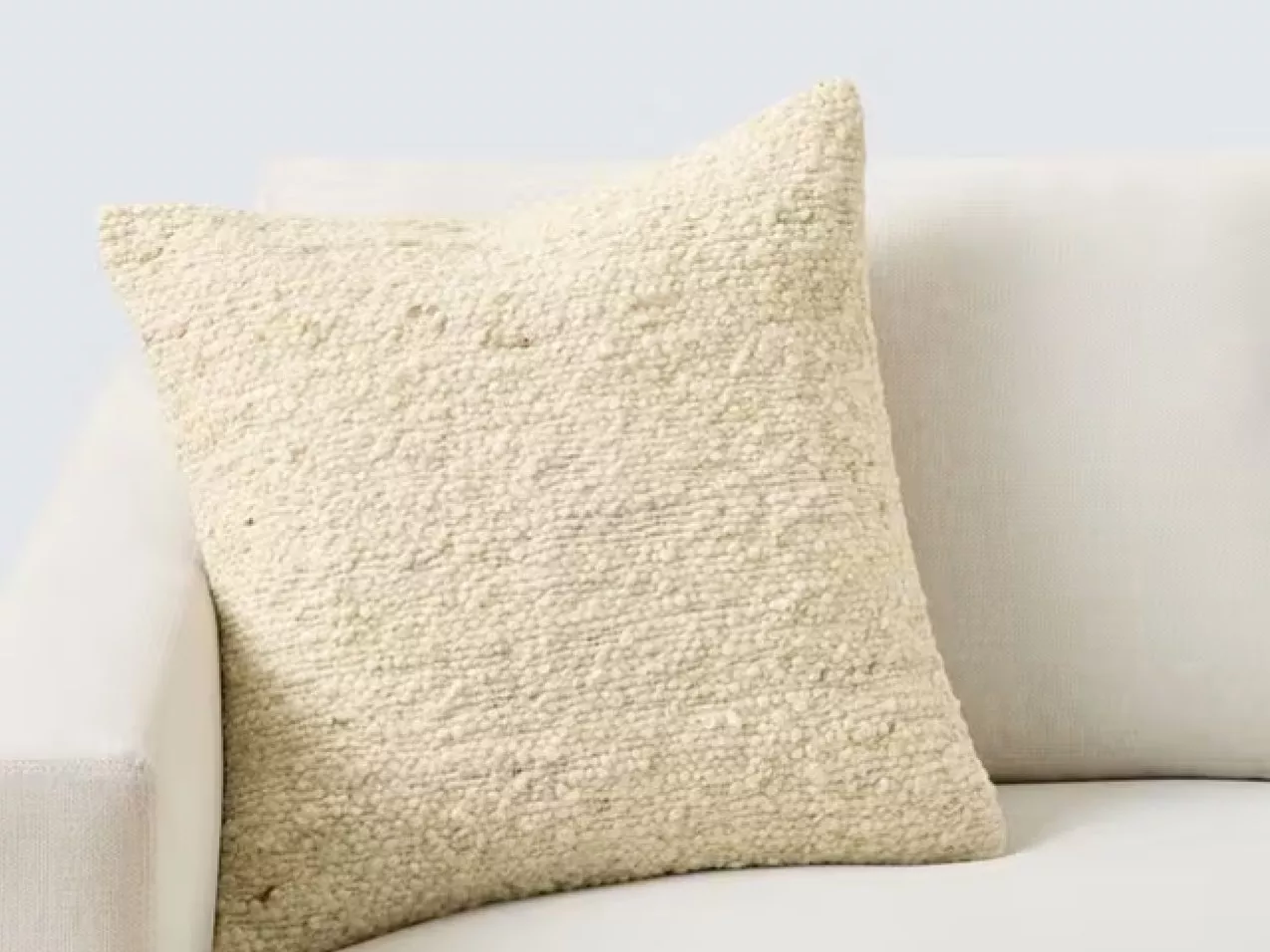 Pottery Barn Cushion Cover, £99