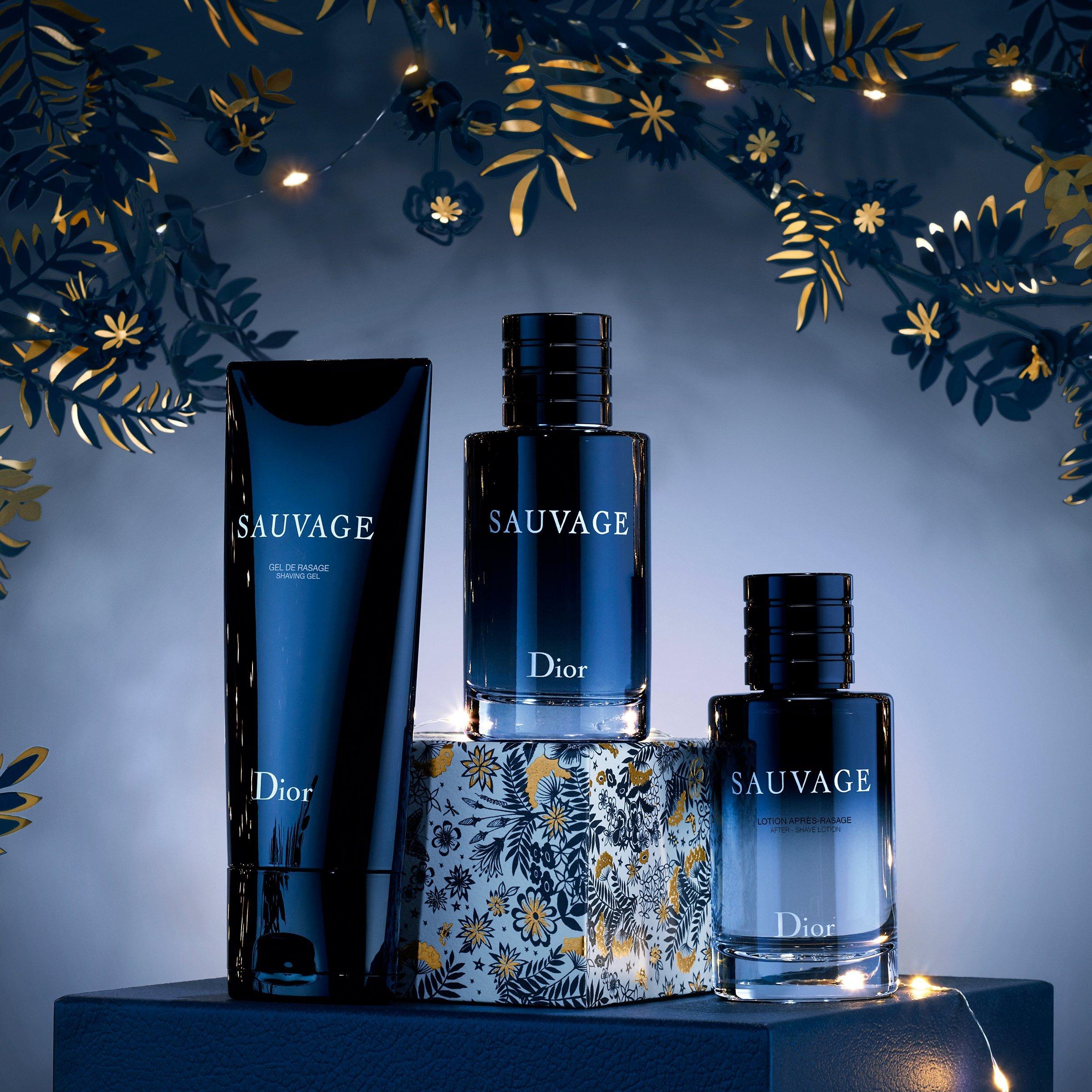 A DREAM OF ADVENTURE