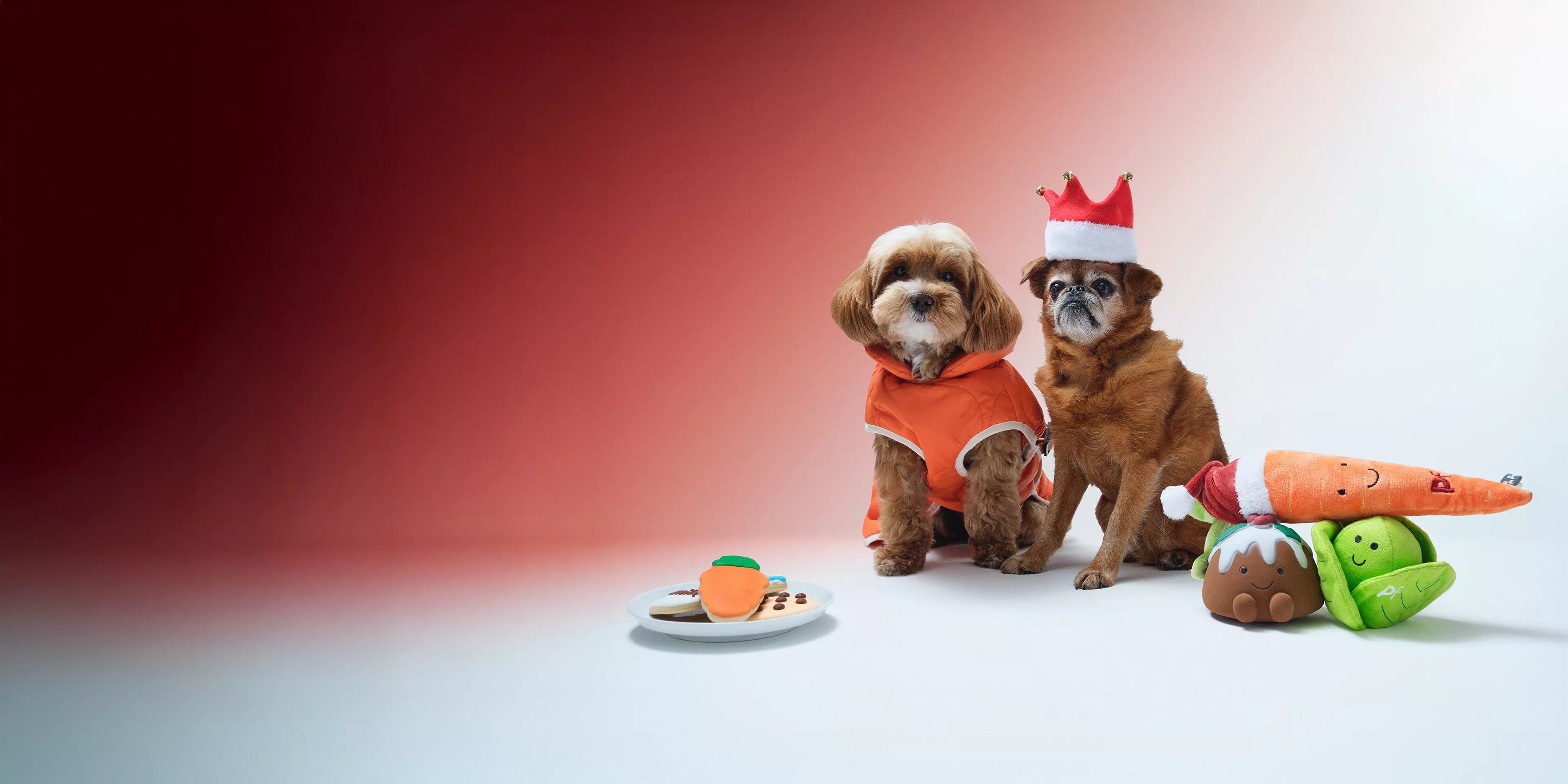 Two dogs, one in a dog jacket and the other wearing a xmas hat, surrounded by dog gifts