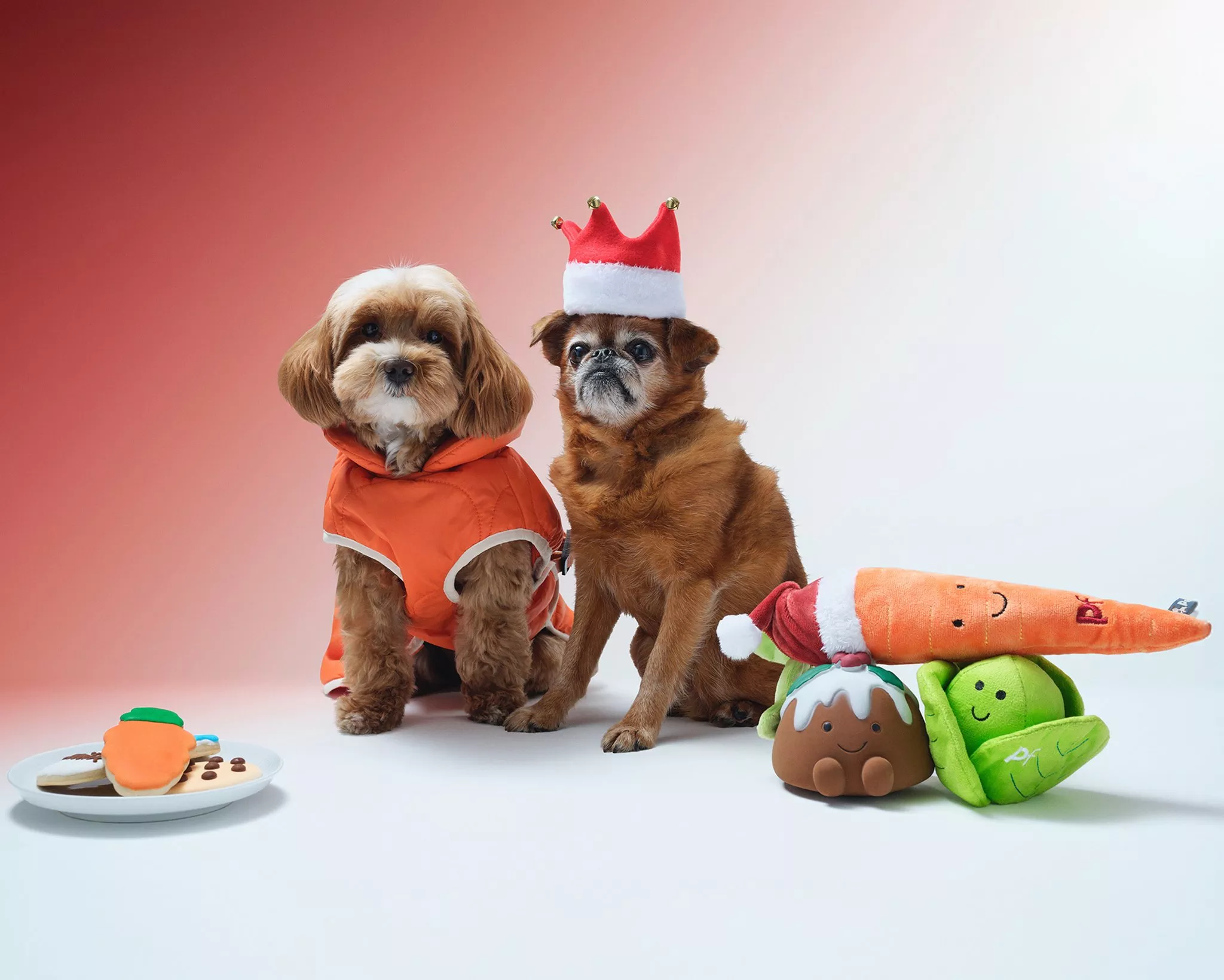 The best Christmas gift ideas for dogs