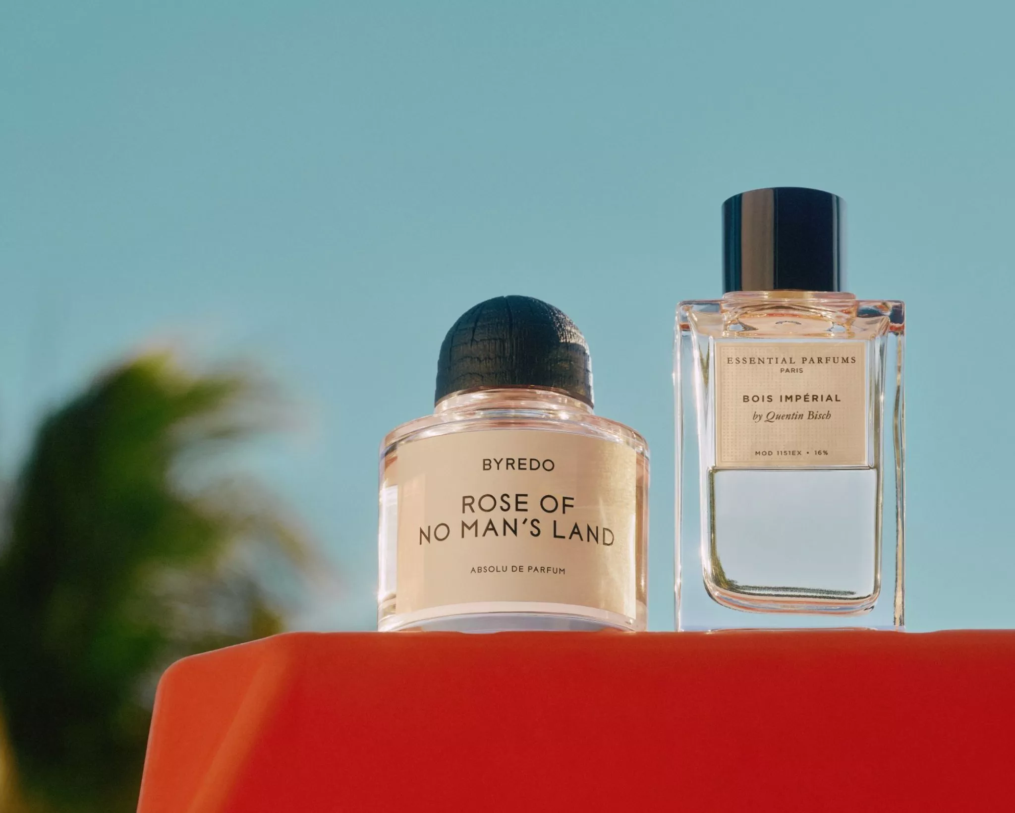 10 of the most complimented perfumes 