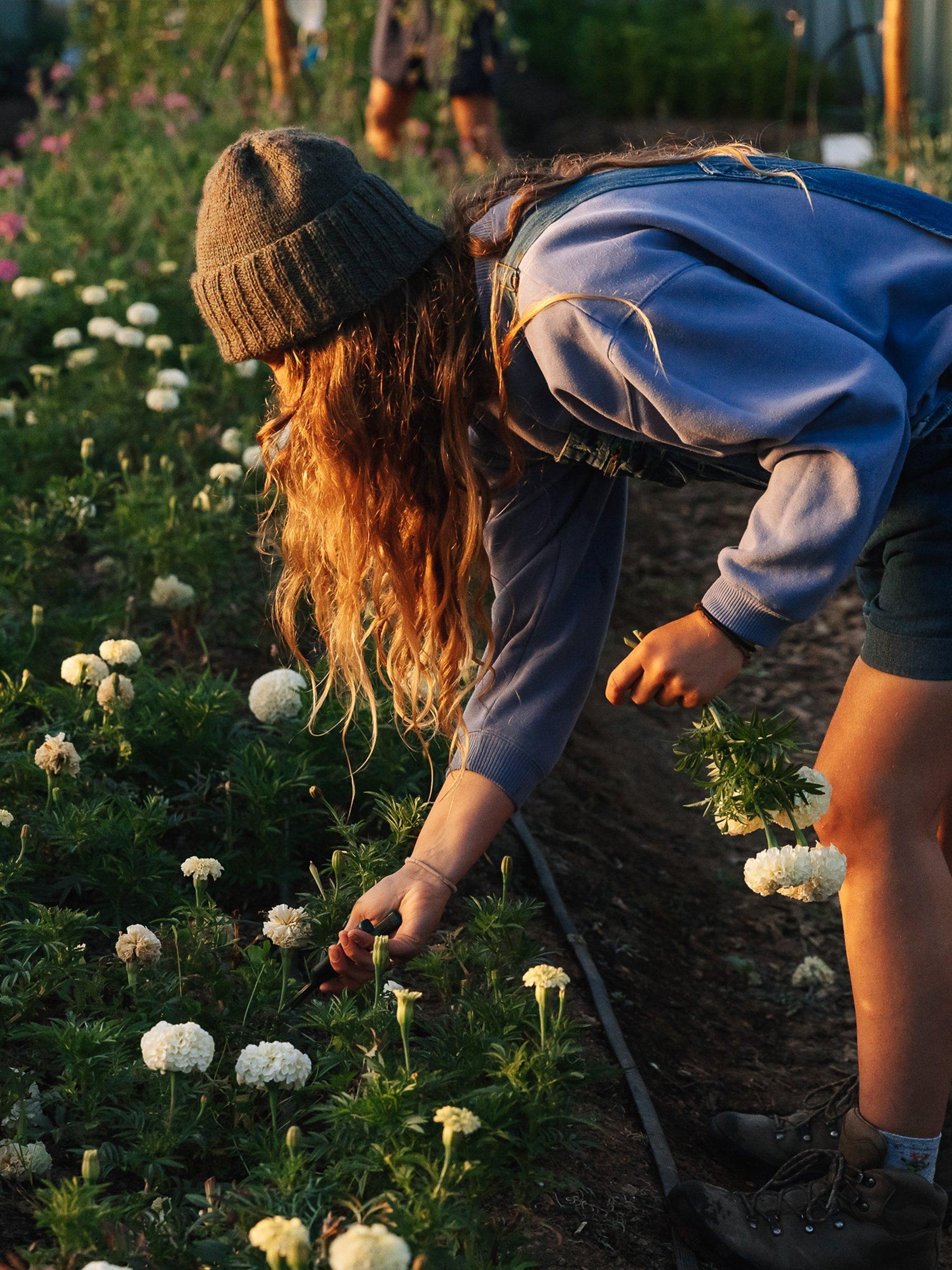 Insta-favourite florists Petalon give us a rundown of what’s trending in florals this year