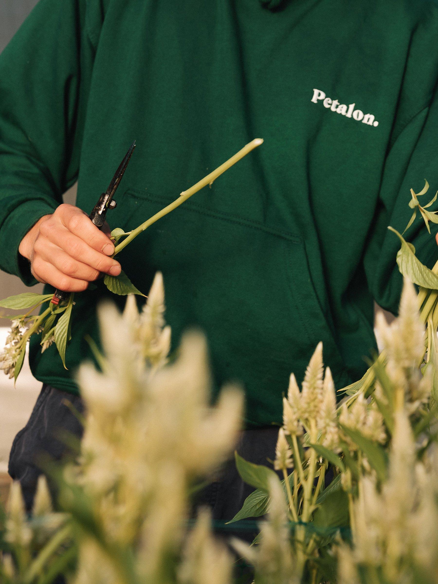 Insta-favourite florists Petalon give us a rundown of what’s trending in florals this year